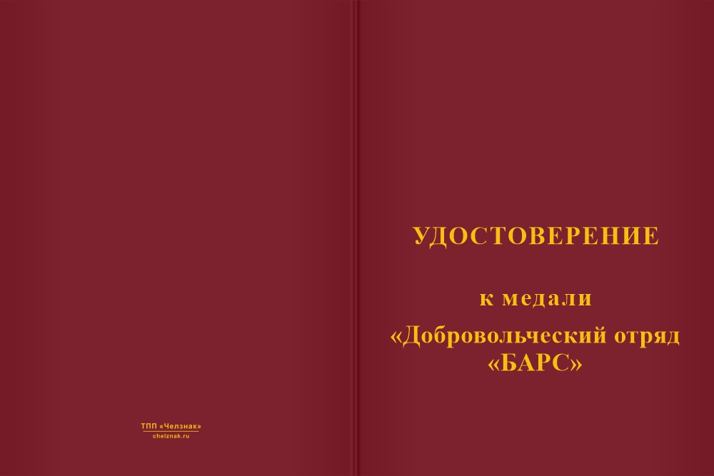 Бланк лицевая сторона Медаль «Добровольческий отряд "БАРС"» с бланком удостоверения