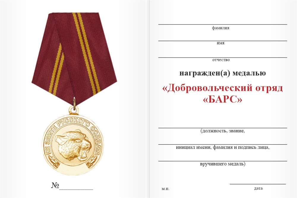 Бланк оборотная сторона Медаль «Добровольческий отряд "БАРС"» с бланком удостоверения