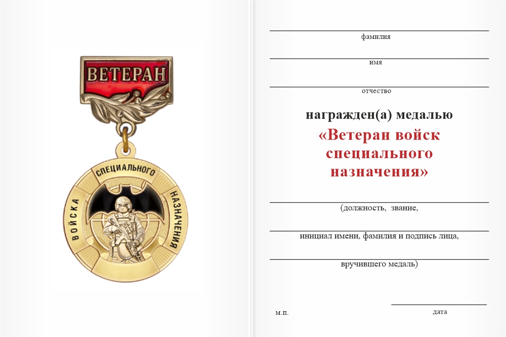 Бланк оборотная сторона Медаль «Ветеран войск специального назначения» с бланком удостоверения