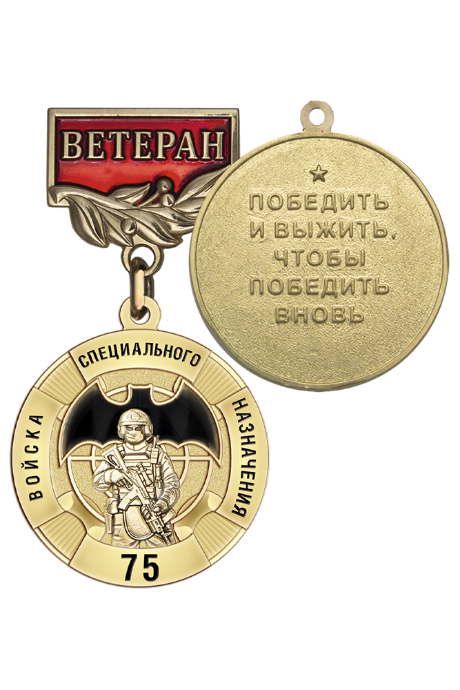 Медаль «Ветеран войск специального назначения» с бланком удостоверения