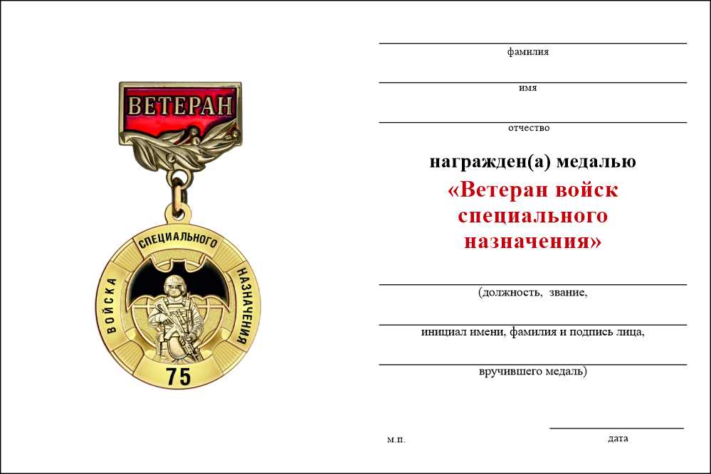 Бланк оборотная сторона Медаль «Ветеран войск специального назначения» с бланком удостоверения