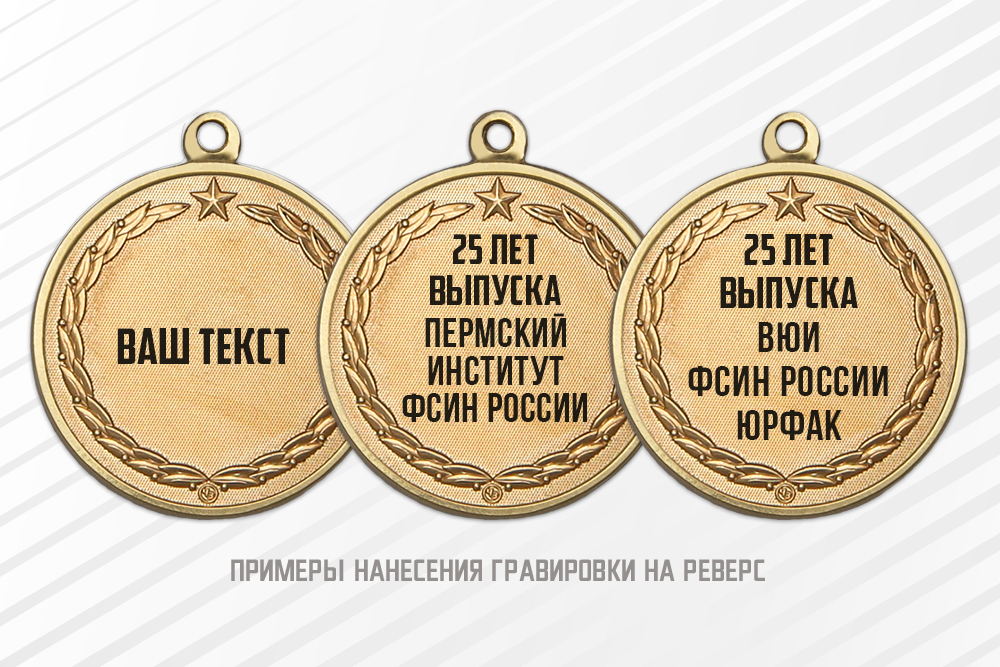 Медаль «Юбилей ВУЗа ФСИН России» с бланком удостоверения, дополнительное фото 1