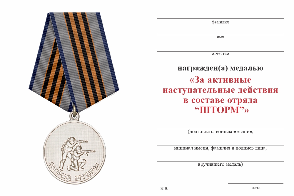 Бланк оборотная сторона Медаль «Отряд "ШТОРМ"» с бланком удостоверения