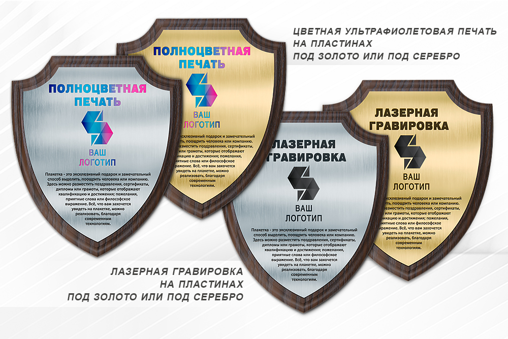 Обратная сторона награды Наградная плакетка (щит)
