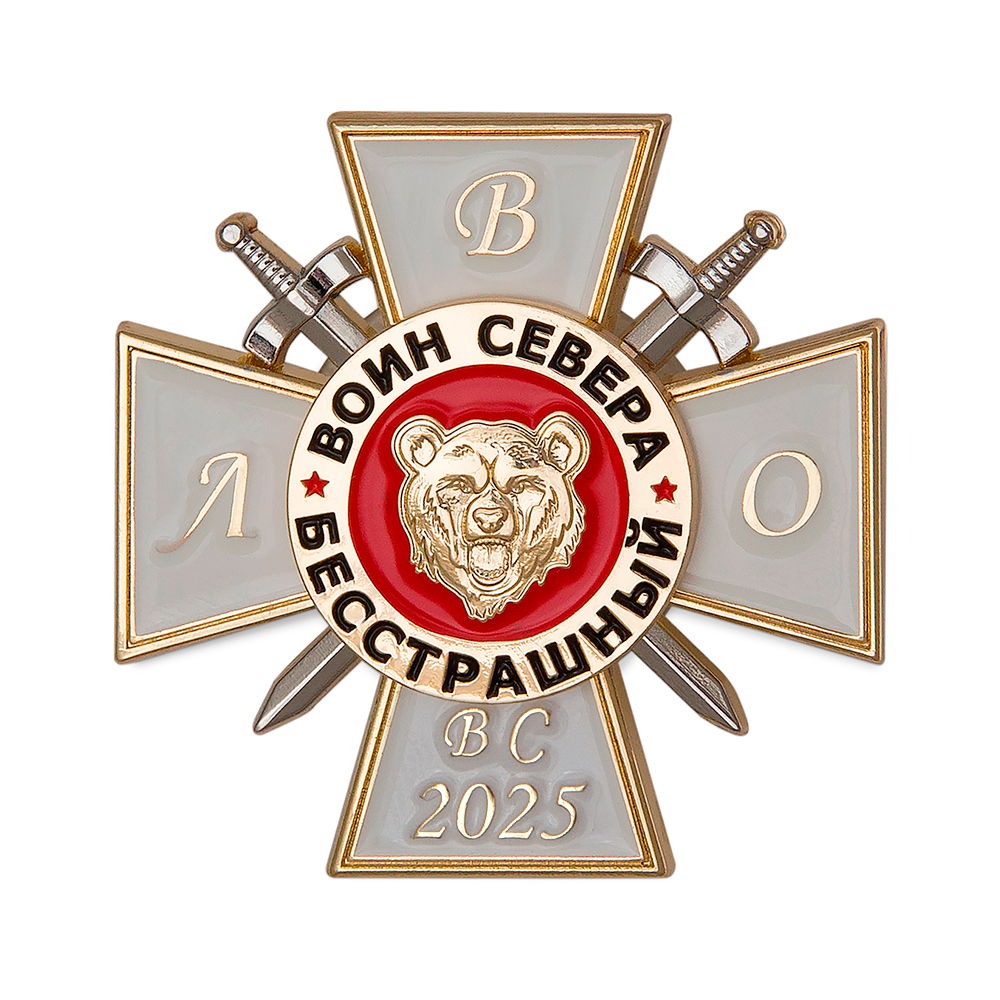Знак ЛВО «Воин севера» (ВС 2025)