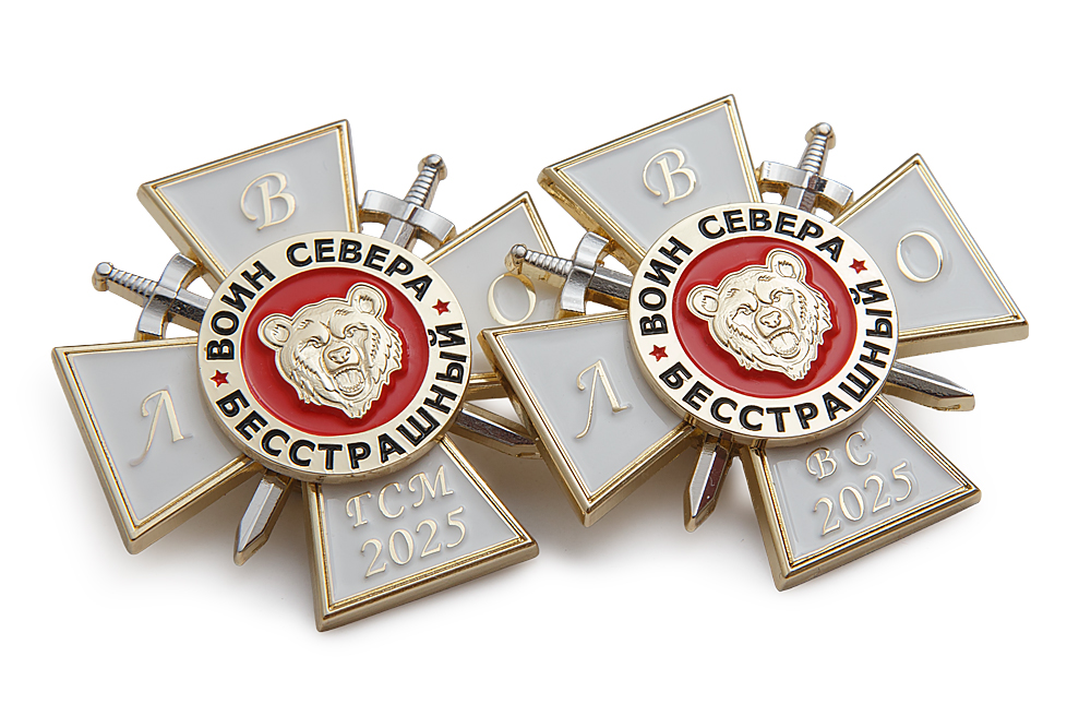 3D фото награды Знак ЛВО «Воин севера» (ВС 2025)