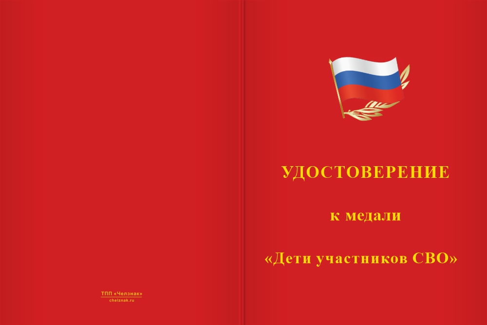 Бланк лицевая сторона Медаль «Дети участников СВО» с бланком удостоверения