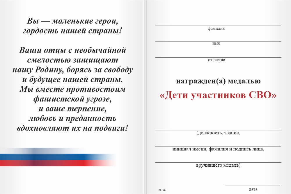 Бланк оборотная сторона Медаль «Дети участников СВО» с бланком удостоверения