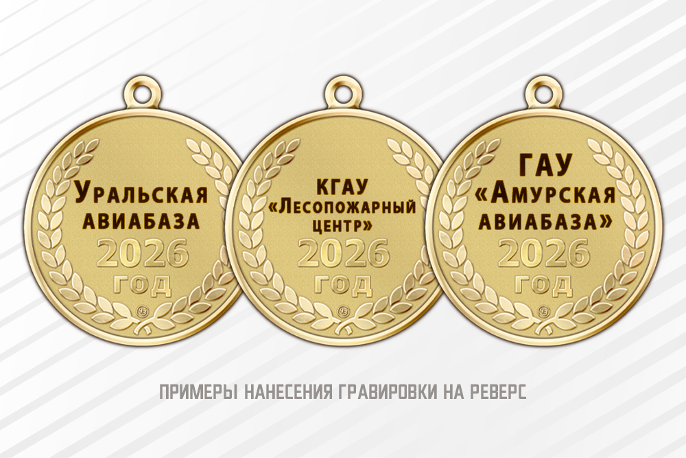 Медаль «95 лет АвиаЛесоОхране» с бланком удостоверения, дополнительное фото 1