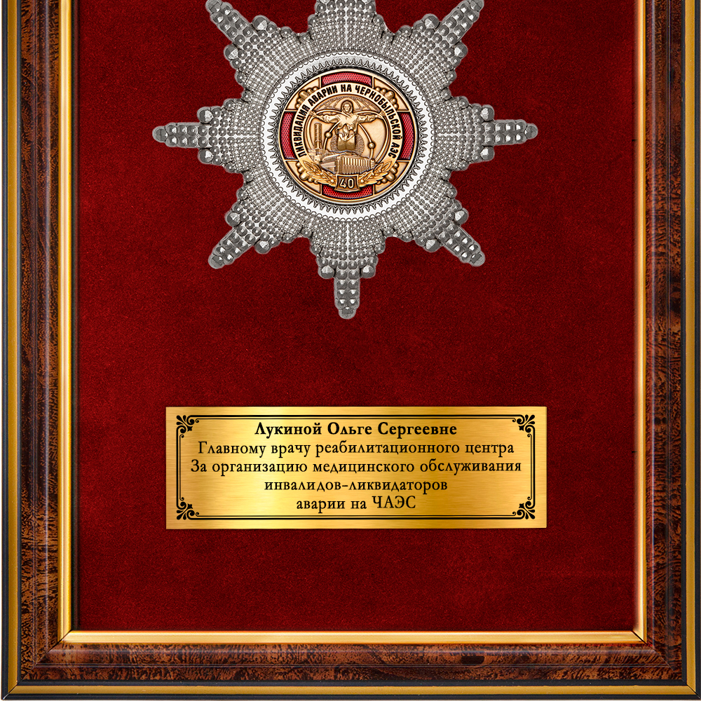 Обратная сторона награды Панно с орденским знаком «40 лет ликвидации аварии на Чернобыльской АЭС»