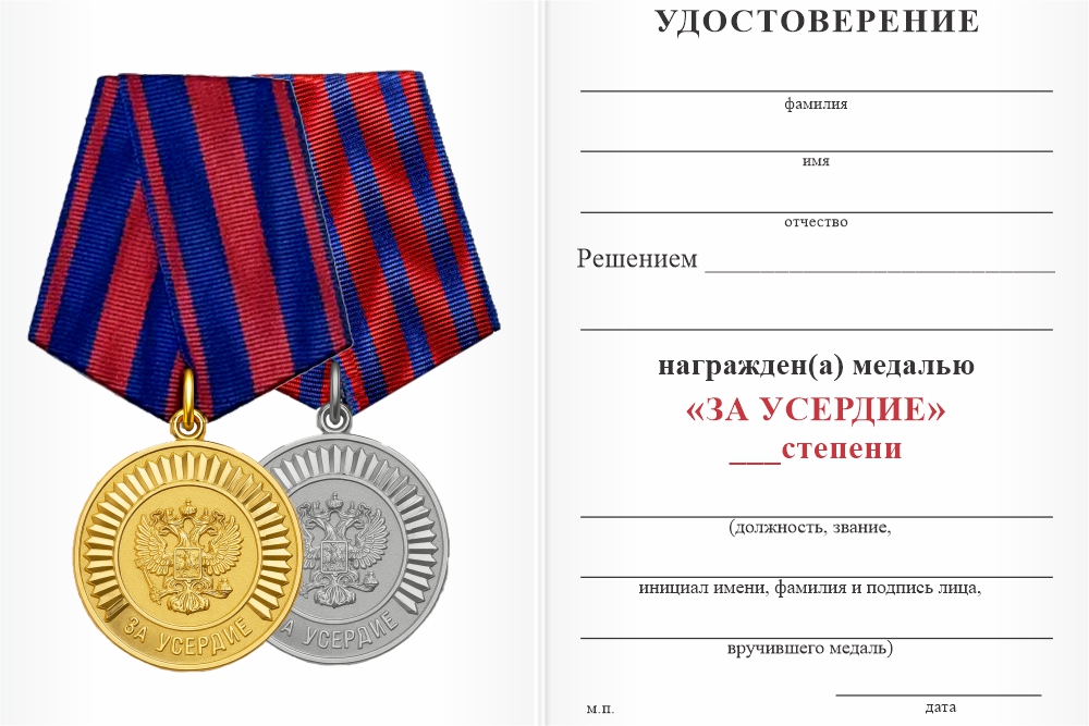 Бланк оборотная сторона Медаль «За усердие. Кадетское образование» 2 степени с бланком удостоверения