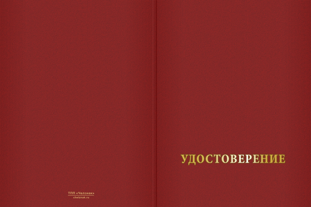 Бланк лицевая сторона Медаль «100 лет Усть-Большерецкому району Камчатского края» с бланком удостоверения