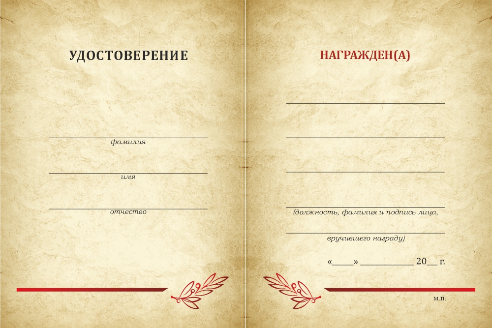 Бланк оборотная сторона Медаль «100 лет Усть-Большерецкому району Камчатского края» с бланком удостоверения
