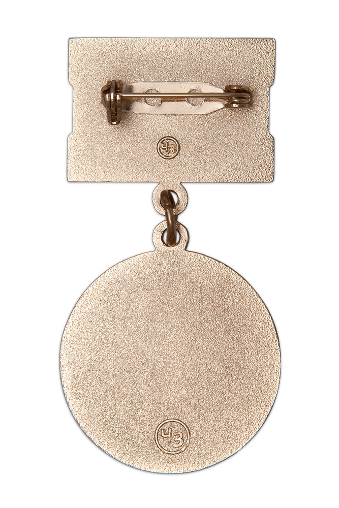 Реверс награды Медаль «За достойное воспитание детей»