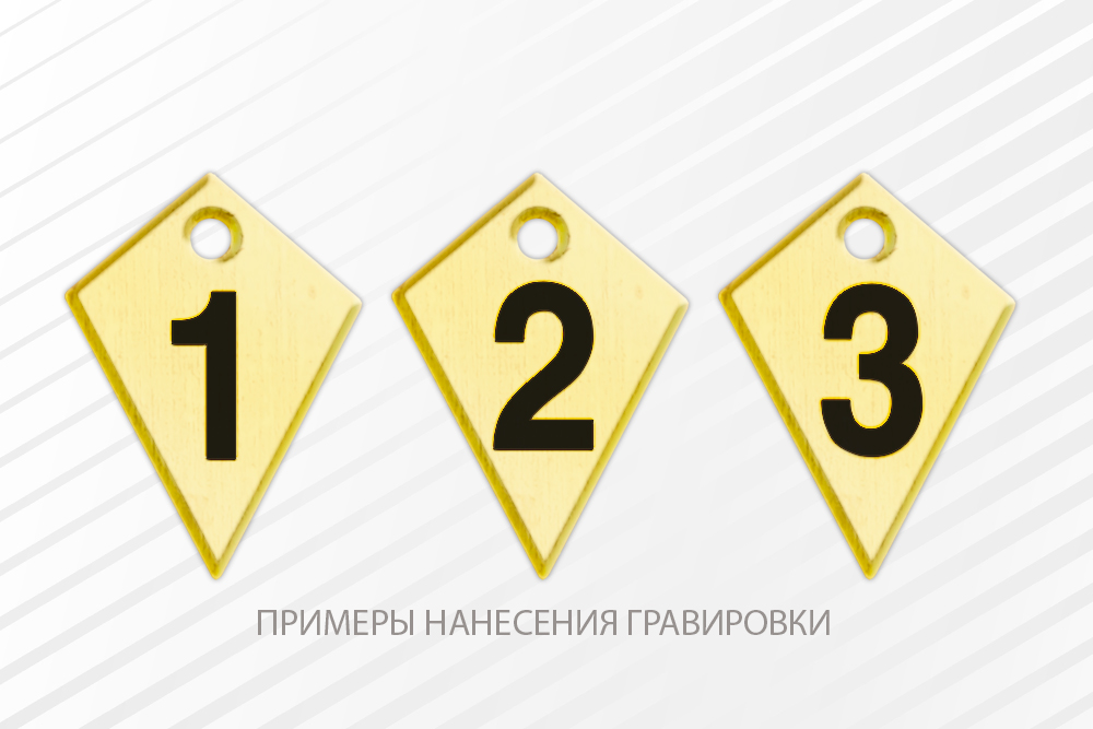 Пластина-подвес для квалификационного знака, дополнительное фото 1