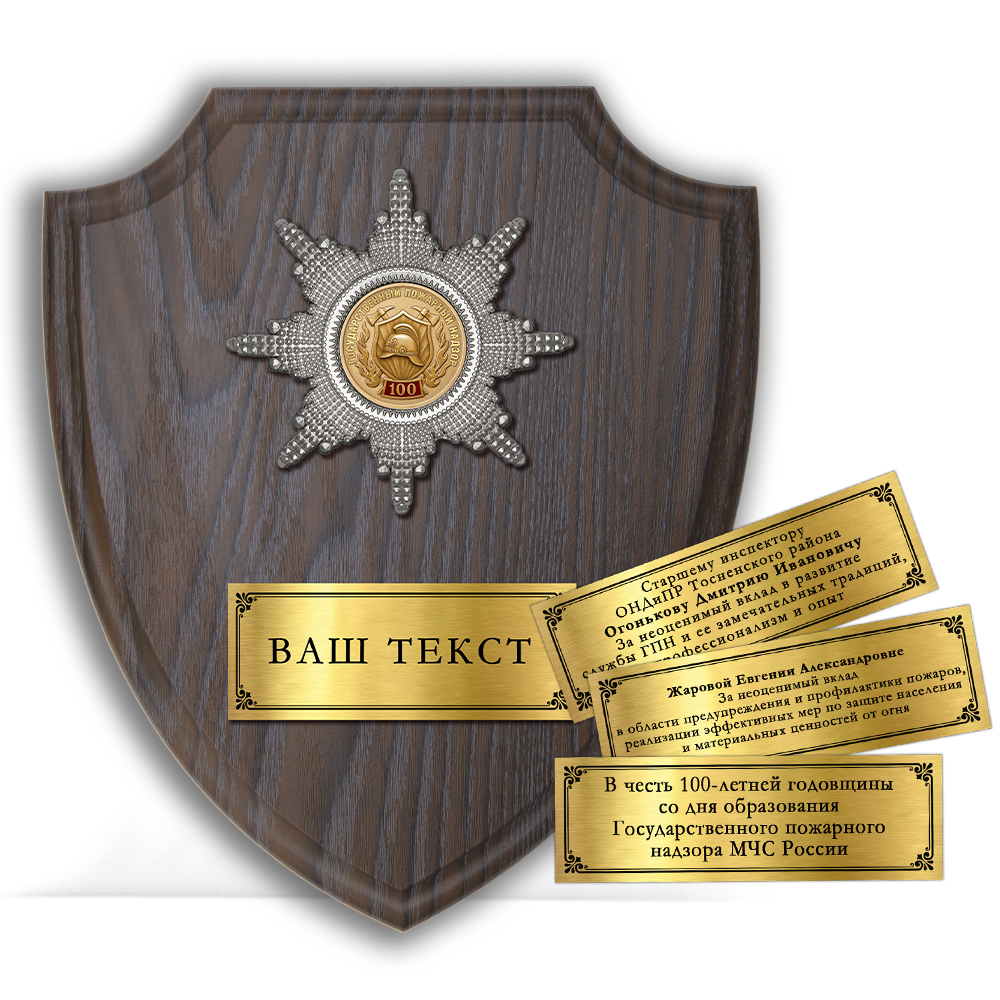 Лицевая сторона награды Наградная плакетка «100 лет ГПН МЧС России»