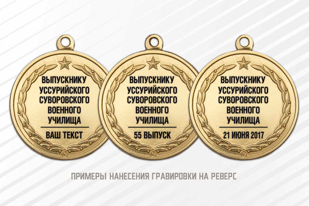 Медаль «Выпускник суворовского военного училища» с бланком удостоверения, дополнительное фото 1