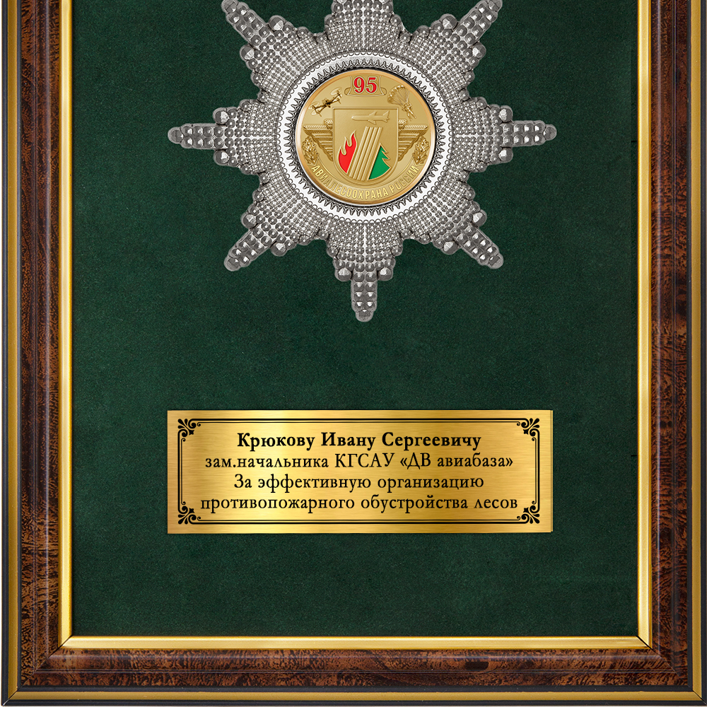 Обратная сторона награды Наградное панно «95 лет АвиаЛесоОхране»