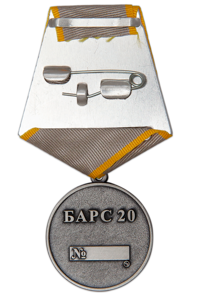 Реверс награды Медаль «Барс-20. За боевые заслуги» с бланком удостоверения