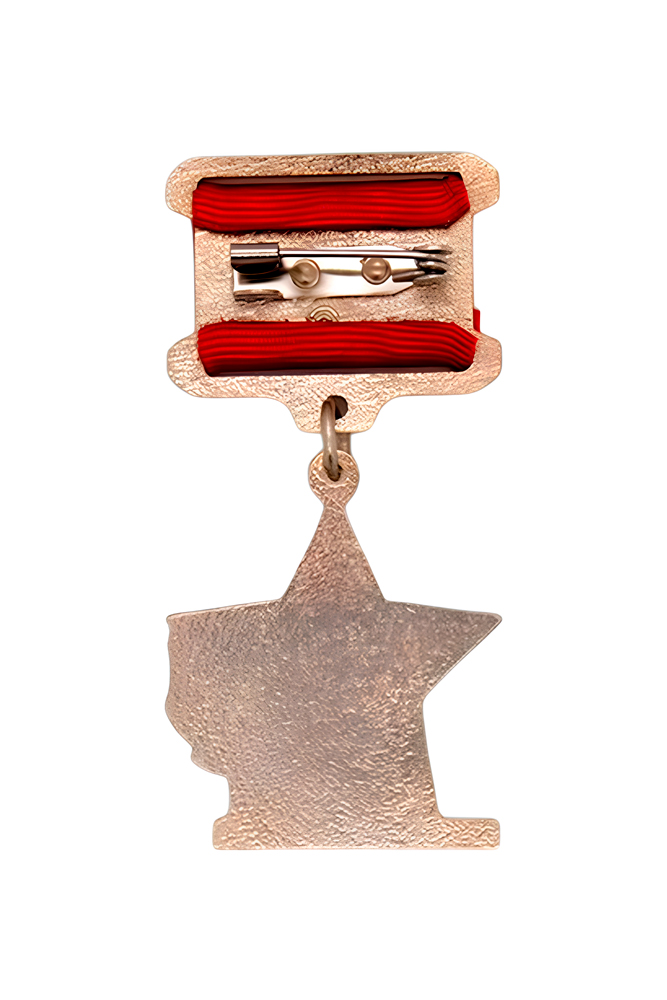 Реверс награды Нагрудный знак «Герой Чернобыля»