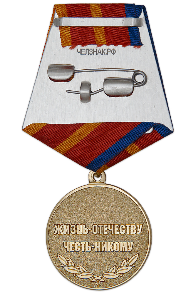 Реверс награды Медаль «295 лет кадетскому образованию» с бланком удостоверения