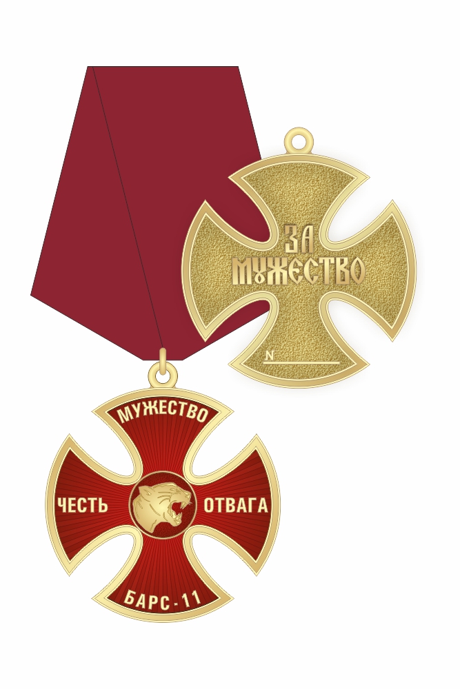 Орденский знак Добровольческого отряда Специального назначения БАРС-11 "За Мужество" I степени