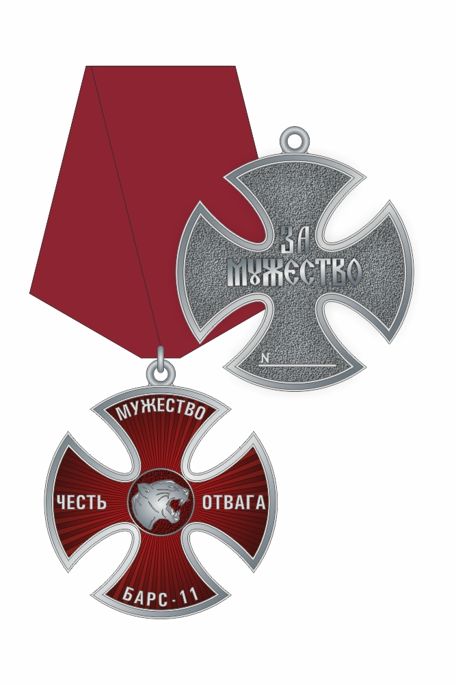 Орденский знак Добровольческого отряда Специального назначения БАРС-11 "За Мужество" II степени
