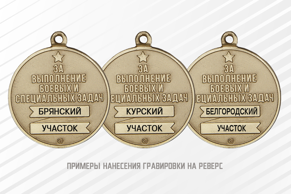 Медаль «Участнику СВО пограничной службы ФСБ» с бланком удостоверения, дополнительное фото 1