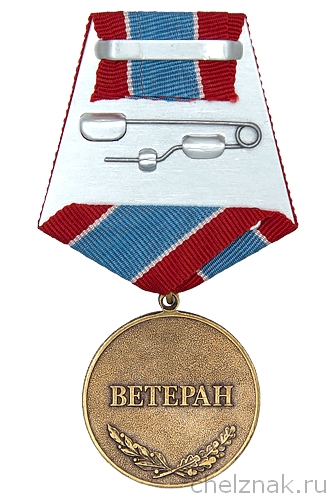 Реверс награды Медаль «30 лет вывода войск из Афганистана (Ветеран)» с бланком удостоверения