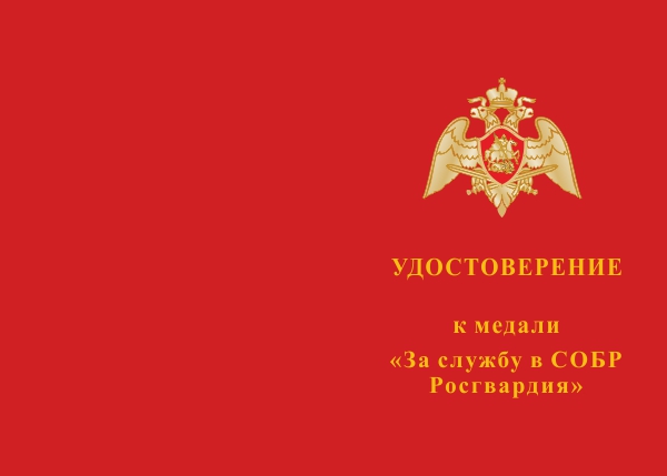 Лицевая сторона награды Медаль «За службу в СОБР, РОСГВАРДИЯ» с бланком удостоверения