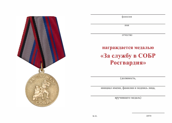 Обратная сторона награды Медаль «За службу в СОБР, РОСГВАРДИЯ» с бланком удостоверения