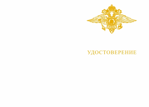 Лицевая сторона награды Медаль МВД «300 лет российской полиции» с бланком удостоверения, D 34 мм