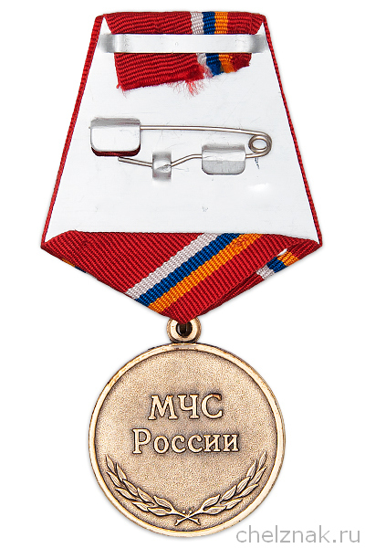 Реверс награды Медаль «Участнику ликвидации пожаров в 2010 году» с бланком удостоверения