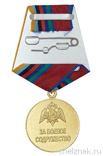 Реверс награды Медаль Росгвардии «За боевое содружество» с бланком удостоверения