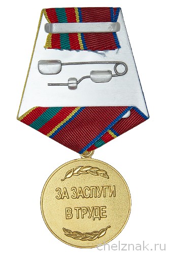 Реверс награды Медаль Росгвардии «За заслуги в труде» с бланком удостоверения