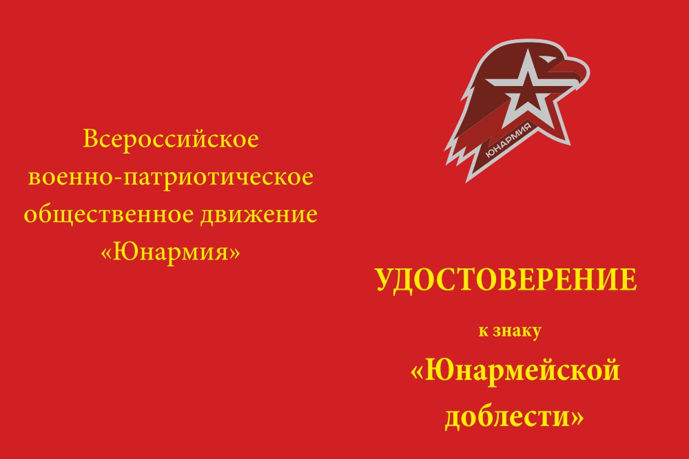 Бланк лицевая сторона Медаль юнармейской доблести II степени с бланком удостоверения