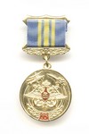 Знак «95 лет авиации ВМФ России»