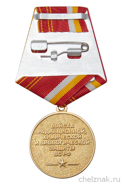 Реверс награды Медаль «Войска РХБЗ. Саратовское училище»