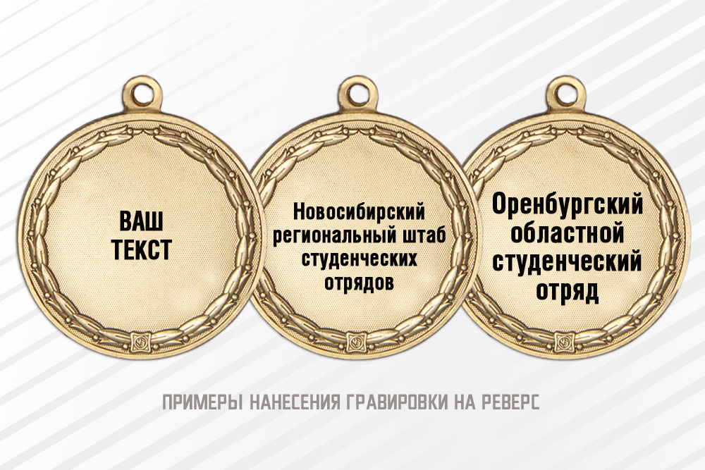 Медаль «Студенческие строительные отряды» с бланком удостоверения, дополнительное фото 1