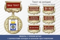 Медаль с гербом города Щучья Курганской области с бланком удостоверения