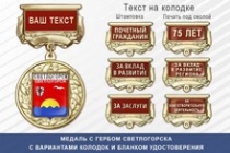 Медаль с гербом города Светлогорска Калининградской области с бланком удостоверения