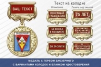 Медаль с гербом города Заозерного Красноярского края с бланком удостоверения