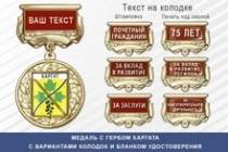 Медаль с гербом города Каргата Новосибирской области с бланком удостоверения