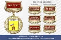 Медаль с гербом города Вытегры Вологодской области с бланком удостоверения