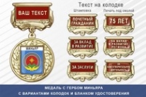 Медаль с гербом города Миньяра Челябинской области с бланком удостоверения