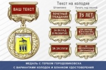 Медаль с гербом города Городовиковска Республики Калмыкия с бланком удостоверения