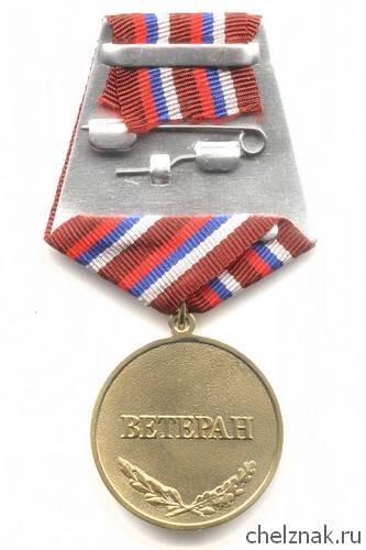 Реверс награды Медаль «Участник боевых действий на Северном Кавказе. 15 лет» с бланком удостоверения