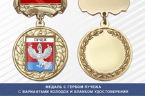 Медаль с гербом города Пучежа Ивановской области с бланком удостоверения