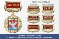 Медаль с гербом города Пучежа Ивановской области с бланком удостоверения