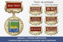 Медаль с гербом города Андреаполя Тверской области с бланком удостоверения